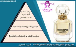 روبرتو كفالي الازرق